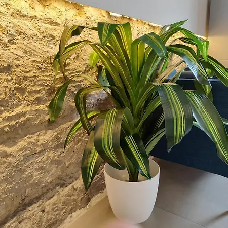 Otel Ideal Walk Napoli