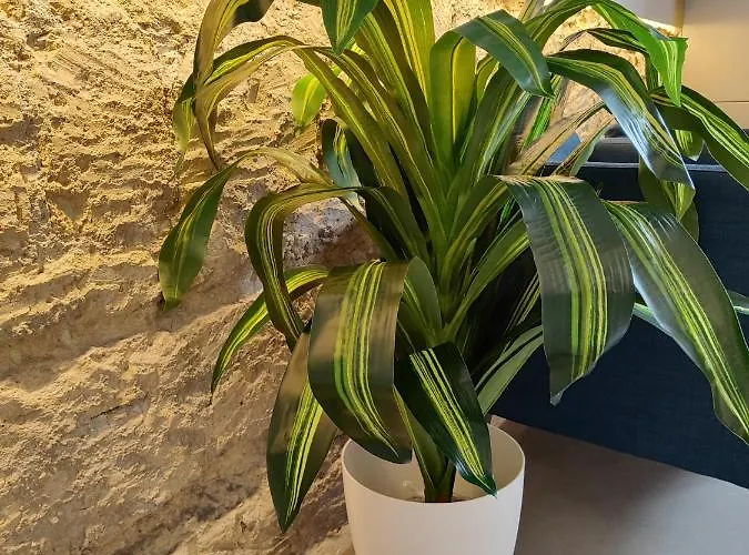 Hotel Ideal Walk Nápoles